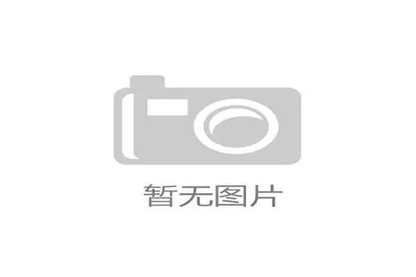 2026世界杯K组最终排名预测结果